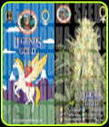 Legends Gold - Big Buddha Seeds