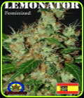 Lemonator - Next Generation Seeds
