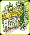 Lemonchello Haze - Seedsman Seeds