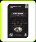 Mandarin Punch - Sensi Research Seeds