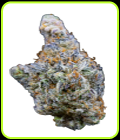 Mimosa Gusher - Growers Choice