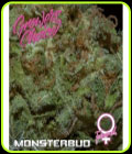 Monsterbud - Growers Choice