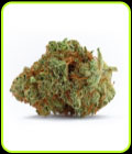 Naranja Biscotti FAST Version - Growers Choice