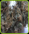 National Health Service - Mr Nice Seeds
