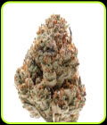 Octane Fire OG - Growers Choice