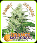 Orange EastCoast - Family Ganjah Seeds