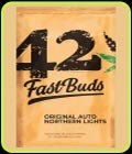 Original Auto Northern Lights - FastBuds