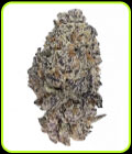 Original Oreoz - Growers Choice