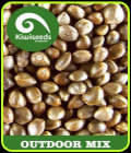 Outdoor Mix - Kiwi Seeds