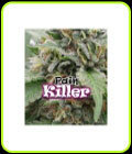 Painkiller - Dr Underground