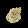Permanent WhiteMarker Auto - Growers Choice
