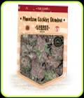 Phantom Cookies Domina - Garden of Green