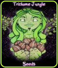 SALE - Pineapple Gummy - Trichome Jungle Seeds - Cannabis Seed Sale Items