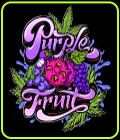 Purple Fruit - Sumo Seeds