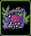 Purple Fruit Auto - Sumo Seeds