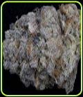 Purple Punch - Big Head Seeds