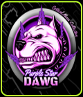Purple Star Dawg - Critical Mass Collective