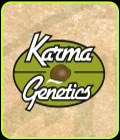 Rado Biker - Karma Genetics