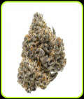 Rainbow Runtz - Growers Choice