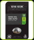 Sensi #34 - Sensi Auto CBD - Sensi Research Seeds