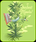 Sherbert Mimosa - Penthouse Cannabis Co