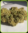 Sherbert Pebbles - Dank Genetics