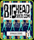Skywalka Cookies - Big Head Seeds