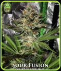 Sour Fusion - Trichome Jungle Seeds