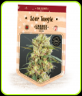 Sour Tangie - Garden of Green