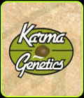 Sour Tart - Karma Genetics