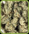 Strawberry Syrup - Masonrie Seeds