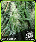 Super Stinky - Short Stuff Seeds