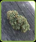 Triangle Glue #4 - Dankonomics Genetics