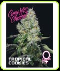 Tropical Cookies - Growers Choice