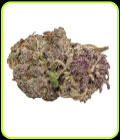 Ultra Violet GMO - Growers Choice