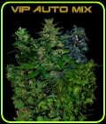 SALE - VIP Auto Mix - VIP Seeds - VIP Seeds