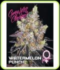 Watermelon Punch - Growers Choice