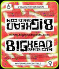 Watermelon Zkittelz - Big Head Seeds