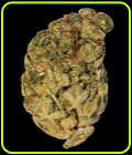 Wedding Cake - Big Head Seeds