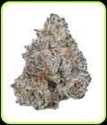 White Truffle - Growers Choice