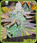 Zkittelz - Blackskull Seeds