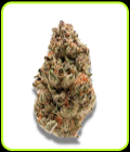 Zkittlez - Growers Choice