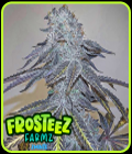 Zmintz - Frosteez Farmz