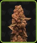 Ztrawberry Fizz - Terp Treez Co
