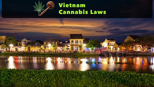 Vietnamin tiukat kannabislait