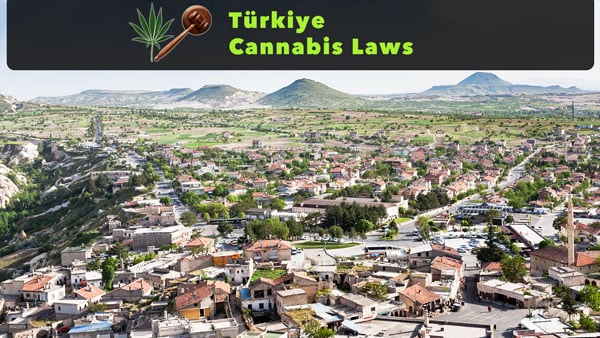 Schauen Sie sich die Cannabisgesetze der Türkei im Detail an