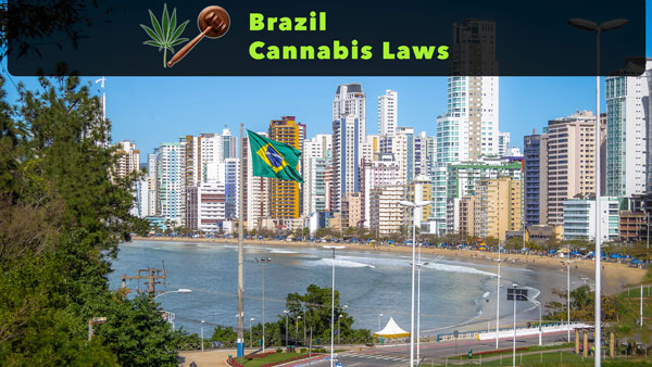 Cannabislove i Brasilien