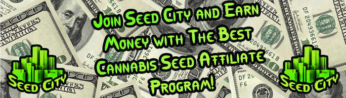 Cannabis Programma di affiliazione Seed