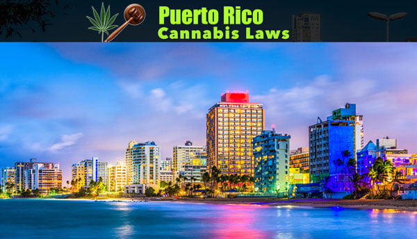 Puerto Ricon kannabislakien ymmärtäminen