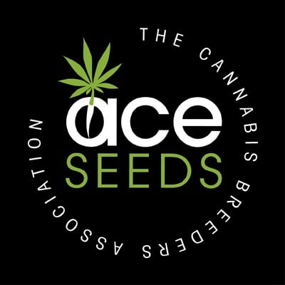 Ace Seeds Geriausios Sativa kanapių sėklos